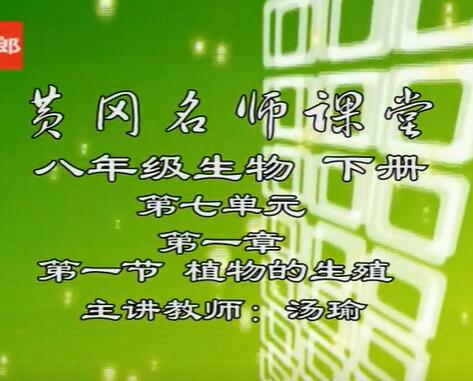 八年级生物下册视频