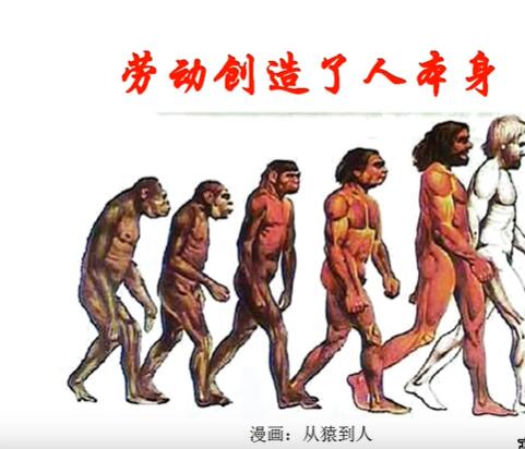 七年级（初一）历史上册