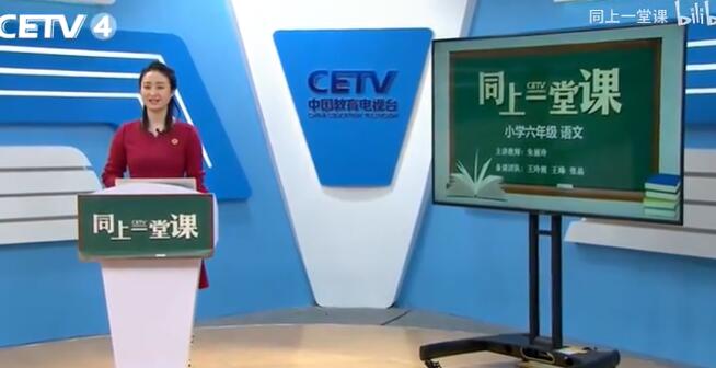 人教版小学语文六年级下册（清华附小教师主讲）六年级语文