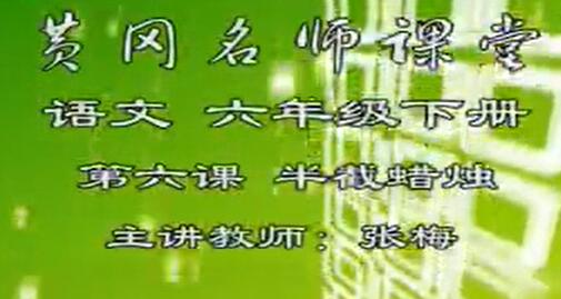 苏教版小学语文六年级下