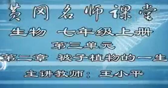 人教版初中生物七年级上册