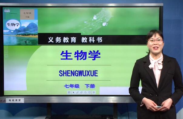 初中生物七年级生物下册