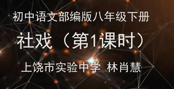 初二语文八年级语文下册 人教版 2020新版