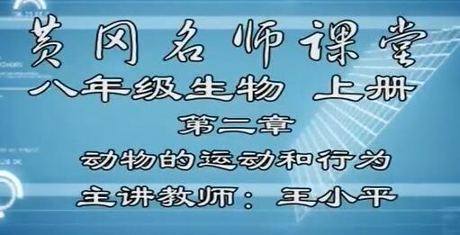 初二生物上册