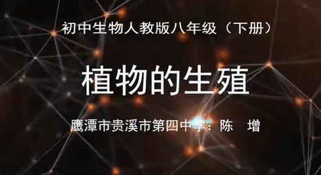 初中生物八年级生物下册 人教版