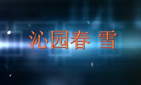 初三语文九年级语文上册 人教版部编版统编版