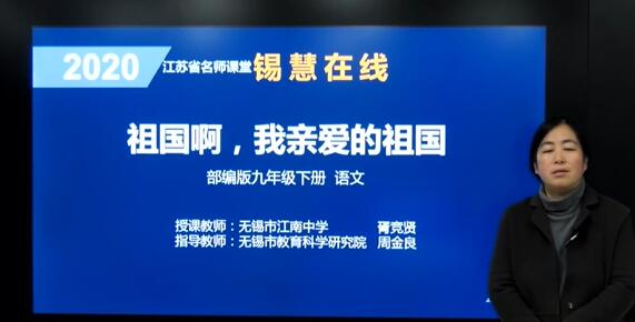 初三语文九年级语文下册 2020人教版 部编版