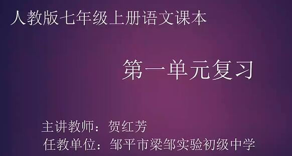 初中语文总复习