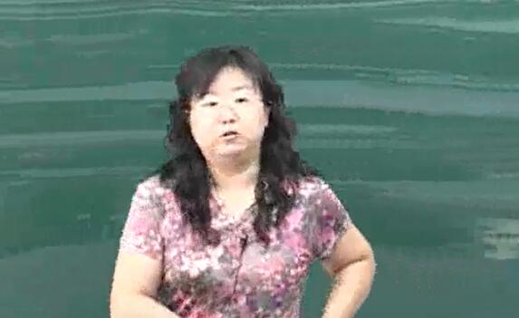 初三物理初中物理 九年级教材