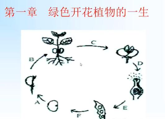 初三生物 网课合集