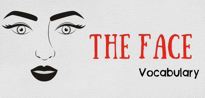 最有效•词汇图解•场景•分类记忆•轻松记住最常用词汇与表达(最全完整版) 