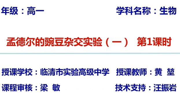 生物必修第2册 生物必修二 遗传与进化 人教版