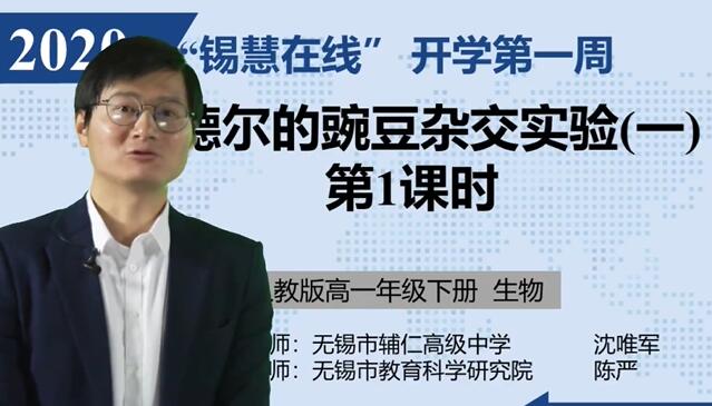 高中生物必修二生物 人教版