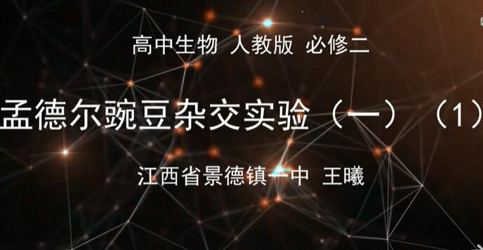 高一 高中生物必修二（人教版